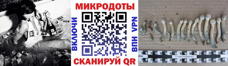 Галлюциногенные грибы Cubensis  Касли 